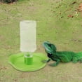 thumbnail image 4 of BELOVING Automatic Pet Water Feeder Container For Reptile Spiders Snakes Green 4, 4 of 10