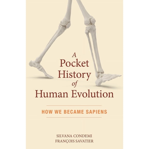 A Pocket History of Human Evolution, (Paperback)