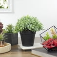 thumbnail image 2 of Northlight 7.5" Potted Green Artificial Boxwood Plant, 2 of 5