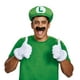 thumbnail image 2 of Kit de accesorios para disfraces Disguise Nintendo Super Mario Luigi, 2 of 4
