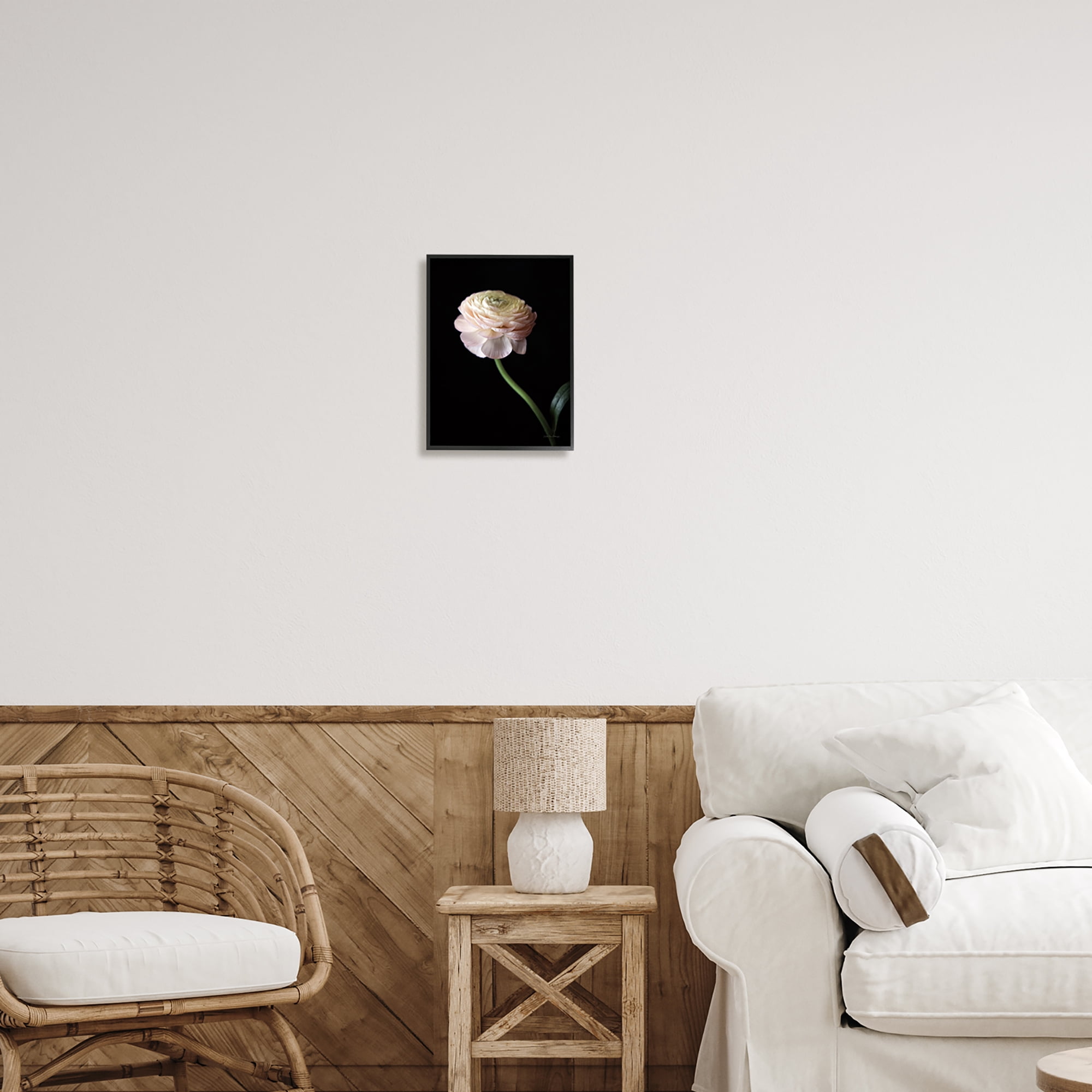 Stupell Industries Ranunculus on Black Botanical & Floral Photography Black Framed Art Print Wall Art, 11 x 14