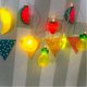 thumbnail image 4 of Naiovety Luces de hadas LED profesionales, lámpara de frutas, luces de cadena impermeables de plástico, lámparas alimentadas por batería, Iluminación y accesorios 20LED, 4 of 6