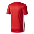 thumbnail image 2 of adidas Boys' Entrada 18 Jersey, Power Red, X-Small, 2 of 2