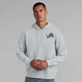 thumbnail image 4 of Unisex Fanatics  Gray Detroit Lions Sleek Elements Pullover Hoodie, 4 of 7