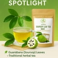 thumbnail image 2 of Guanábana (Soursop) Herbal Tea – 50 Bags (2 g Each) – 100% Natural, Vegan, Non-GMO, Sugar-Free, Caffeine-Free – Antioxidant-Rich Infusion for Hot & Iced Drinks – Vacuum-Sealed for Freshness – by Bexp, 2 of 10