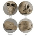 thumbnail image 6 of Halloween Skull, Skull Decoration, 6Pcs Gray Plastic Halloween Skull Heads for Home Decor, Durable Wear-Resistant Material, Desktop Ornament, Halloween Party Accessories, 6 of 6