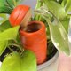thumbnail image 5 of 4 globos de riego con forma de zanahoria de Pascua, sistema de autorriego con estacas de terracota para plantas., 5 of 5