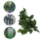 thumbnail image 5 of Simulación De Reptiles Paisajismo Decorativo Vine Verde Para Caja De Mascotas, 5 of 7
