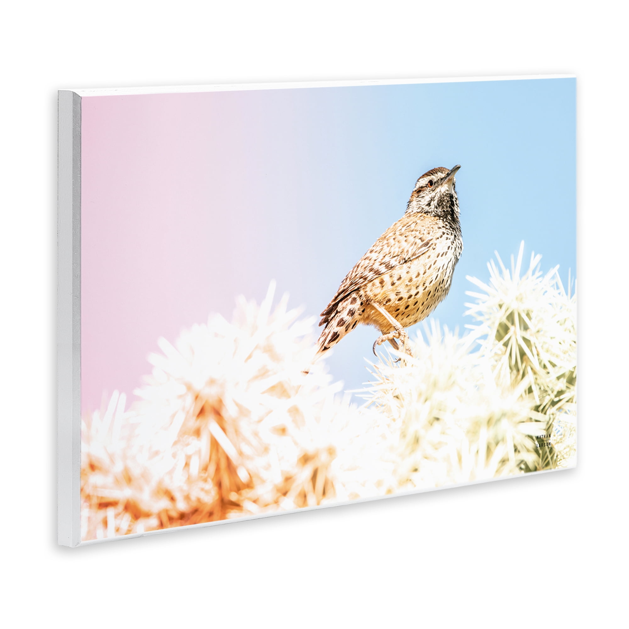 Stupell Industries Desert Song Bird Wall Plaque Art, design by Nathan Larson