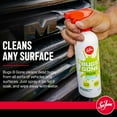 thumbnail image 3 of Limpiador Sea Foam Bugs B Gone 473 ml en spray + recarga de 946 ml, 3 of 5