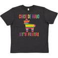 thumbnail image 3 of Inktastic Cinco De Mayo Pinata Lets Fiesta Youth T-Shirt, 3 of 5