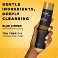 thumbnail image 2 of My Black Is Beautiful Clarifying Shampoo, Sulfate Free, for Curly and Coily Hair with Coconut Oil, Honey and Turmeric, 9.6 fl oz, 2 of 16