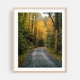 thumbnail image 2 of Autumn Color at Minnewaska State Park 02 - Kerhonkson New York Photography Autumn Forest Nature Woodland Scenic Wilderness Unframed Wall Art Print 20 x 24 inches, 2 of 13