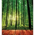 thumbnail image 3 of Forest Duvet Cover Set, Trees Forest Picture from Indoor Sun Rays as Background Wooden Floor Art Print, Decorative 2 Piece Bedding Set with 1 Pillow Shams, Twin Size, Green Brown, by Ambesonne, 3 of 3