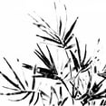 thumbnail image 2 of Vess, June Erica 20x20 White Modern Wood Framed Museum Art Print Titled - Monochrome Tropic II, 2 of 4