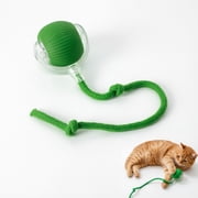 Chewie Ball, Chewie Viral Rolling Ball, Interactive Cat Ball Toy, Chewie Ball for Dogs, Chewie Smart Automatic Rolling Pet Ball, Automatic 360° Rotating Rolling Ball with USB Charging