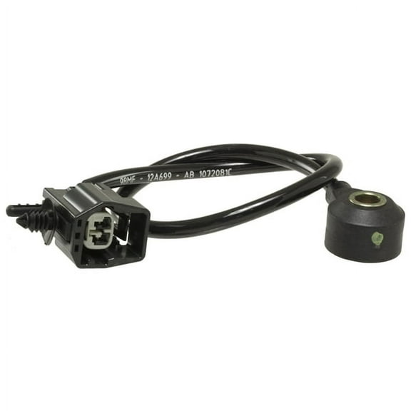 Ignition Knock (Detonation) Sensor
