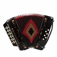 thumbnail image 2 of Rossetti, 34-Key Accordion (ROS3412-GCF-BK), 2 of 4