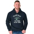 thumbnail image 5 of I'm From NY Proud NYC New Yorker Hoodie Sweatshirt Women Men Brisco Brands S, 5 of 5