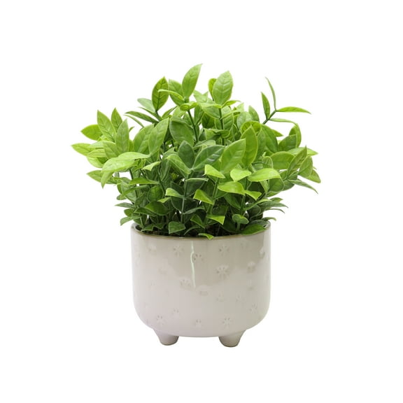 Nature's Mark 9”H Artificial Jade Plant in White Ceramic Pot