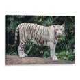 thumbnail image 1 of Cuadro decorativo Animales - Tigre blanco en canvas tamaño 45 x 30 cm Canvas Lab Canvas forma horizontal tamaño 45 x 30, 1 of 2