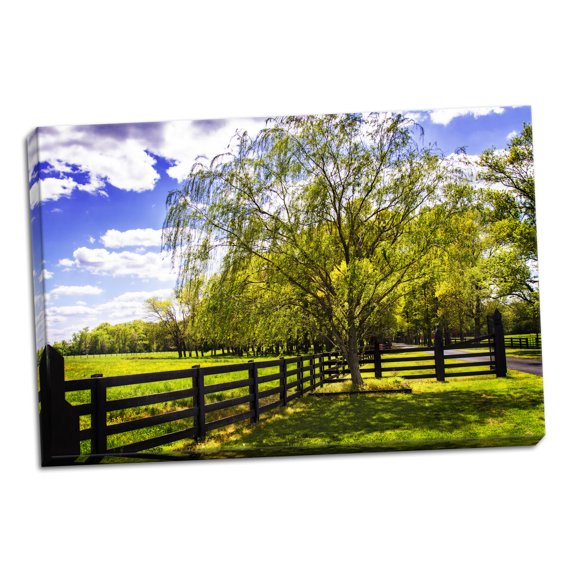 Gango Home Decor Spring on the Farm II by Alan Hausenflock (Ready to Hang); One 36x24in Hand-Stretched Canvas