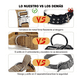 thumbnail image 5 of Collar Y Cuerda Para Perros Verde Militar Lab.G,  talla XGRANDE, 5 of 5