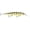 Hot Perch, variant on Rapala Precision Xtreme Deep Mavrik Jerkbait 110 Matte Shad