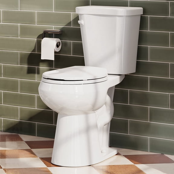 HOROW 10'' Rough in 17 in. ADA Chair Height 2-piece 1.28 GPF Single Flush Round Toilet Map Flush 1000g, Soft-Close Seat Included