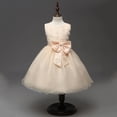 thumbnail image 2 of De De Princesa con Encaje Niñas BLESIY Vestidos De Niña, 2 of 8
