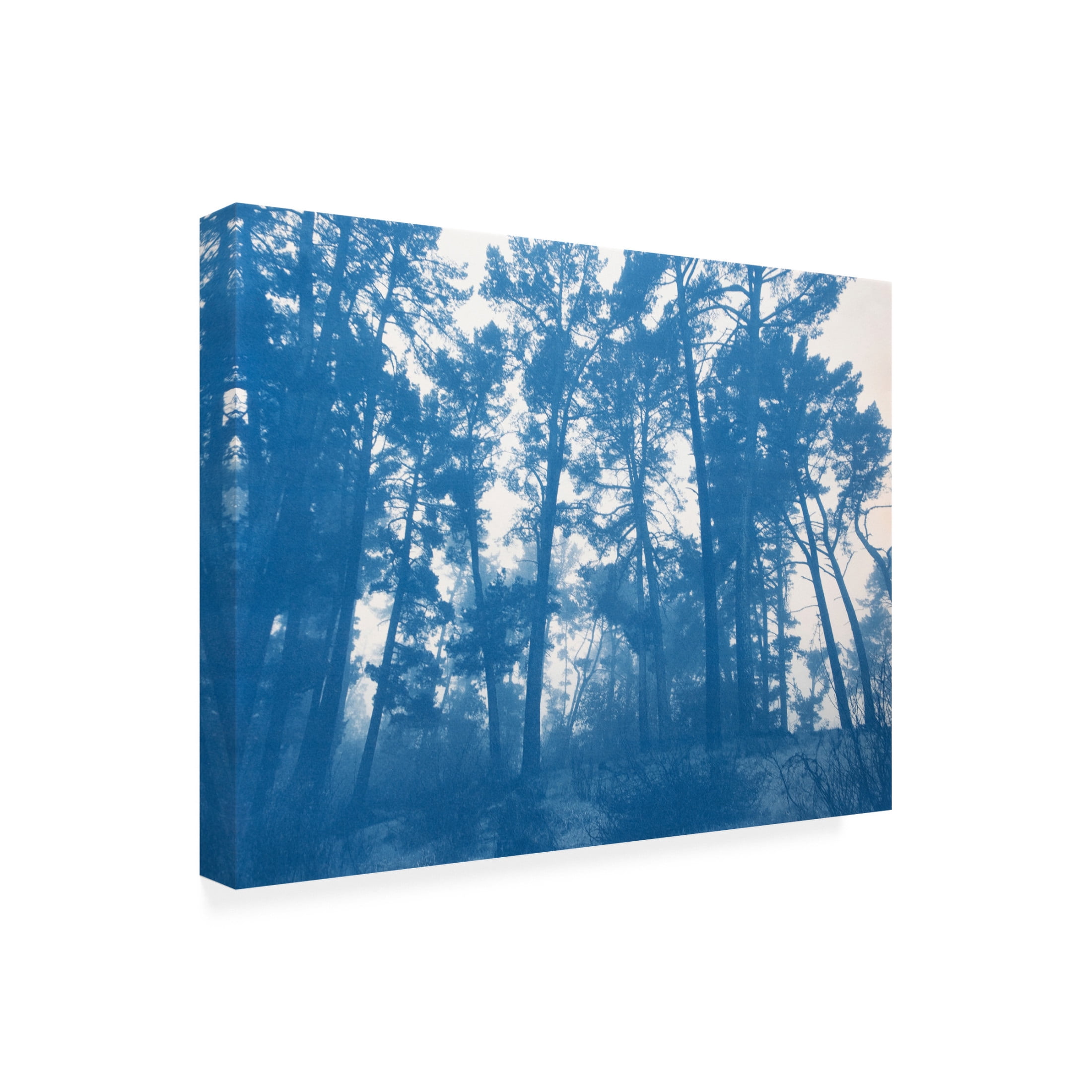 Canvas Wall Art - Christine So 'Sheltering Trees' Wall Art for Living Room, Bedroom, or Office Décor by Trademark Fine Art - 47 x 35 Inches