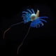 thumbnail image 5 of Fish Tank Caracoles Colco Decoración Fluorescencia Adorno Accesorios para Acuarios Azul, 5 of 7