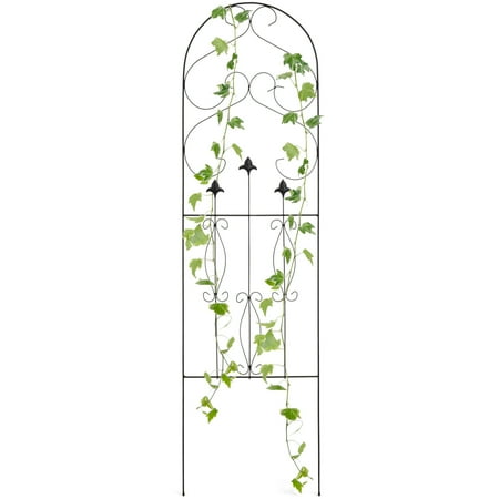 - Best Choice Products 60x18in Rustproof Iron Arched Garden Trellis Fence Panel for Climbing Plants w/ Scroll Lattice