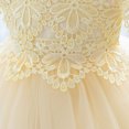 thumbnail image 5 of IBTOM CASTLE Baby Girl Christening Lace Tulle Dress, Newborn Floral Flower Kids Skirt, Toddler Birthday Wedding Party Princess Gown Champagne, 5 of 7