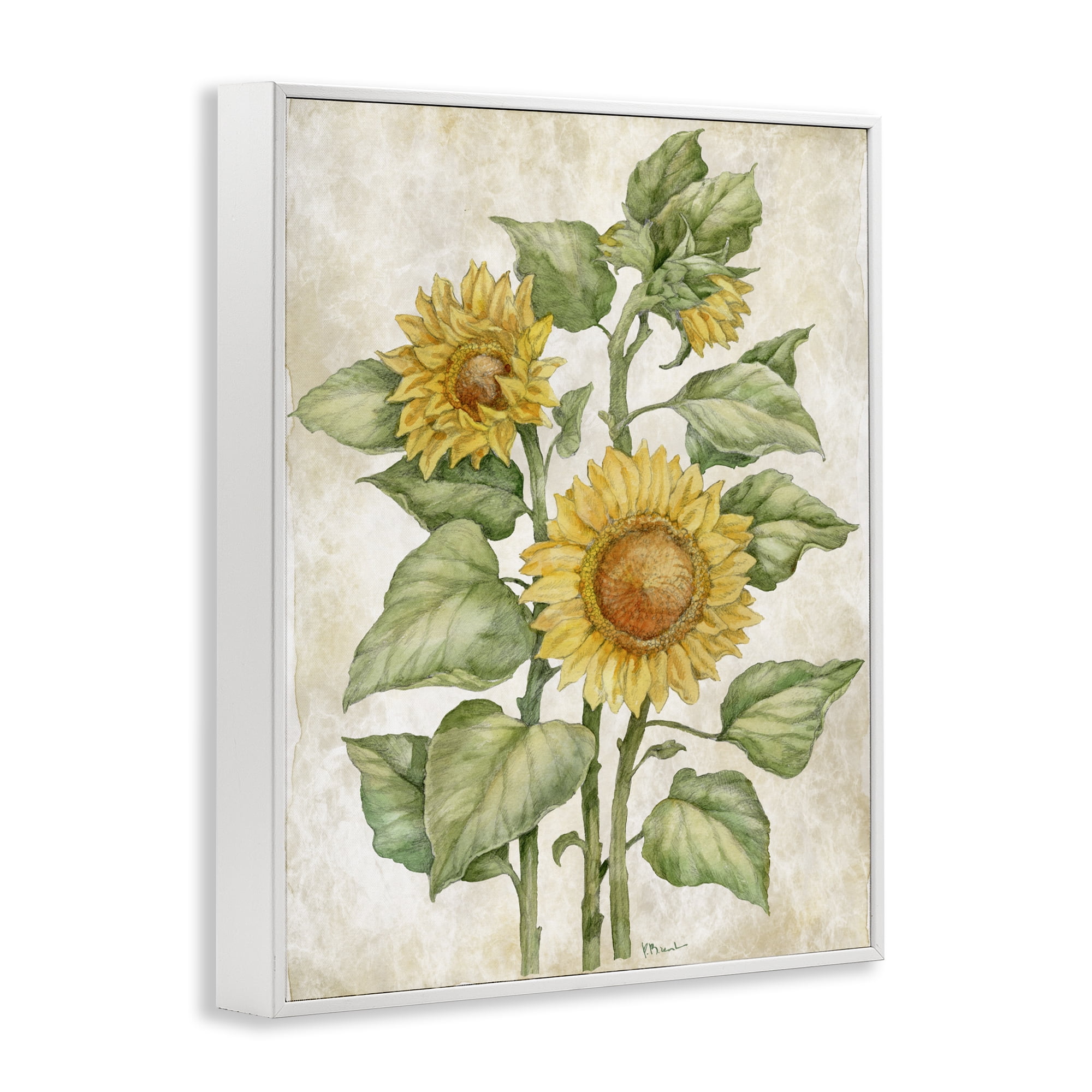 Stupell Industries Floral Journal Sunflower White Framed Giclee Art, design by Paul Brent