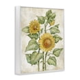 thumbnail image 2 of Stupell Industries Cottage Floral Journal Sunflower White Framed Giclee Art, 16 x 20, by Paul Brent, 2 of 8