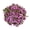 Pink, variant on Expert Gardener 18" Bronze Chrysanthemums Live Plant Mums Flowers in 1 Gallon Grower Pot