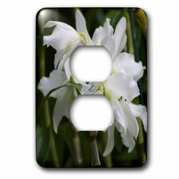 3dRose, ORCHID - MM, 2 plug outlet cover