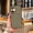 Green, variant on Slim Fit Case For iPhone 16 Plus, Compatible with MagSafe Wireless Charging, Carbon Fiber Pattern Magnetic Protection, Lightweight Anti-Scratch Shockproof Bumper Cover,Green