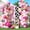 Cowgirl Theme - Pink Gold, variant on Cow Theme Balloon Arch Garland Kit, Pastel Pearl Pink Gold White Cow Print Latex Balloons Cowgirl First Rodeo Balloon Arch Kit for Girls 1st Rodeo Farm Birthday Baby Shower Party Decorations Supplies
