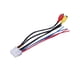 thumbnail image 3 of Arnés Cables Altavoz Entrada Alimentación Enchufe RCA 10 Pines para Amplificador Dual TBX10A, 3 of 8