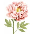 thumbnail image 2 of Popp, Grace 26x32 White Modern Wood Framed Museum Art Print Titled - Watercolor Peony I, 2 of 4