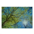 thumbnail image 2 of Forest Cutting Board, Tree Branches Pastoral Lumber Wide Flourishing Natural Beauty Eco Backed Image Art, Decorative Tempered Glass Cutting and Serving Board, Large Size, Green Blue, by Ambesonne, 2 of 5