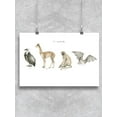 thumbnail image 1 of Animals With V Poster - Image by Shutterstock,, 1 of 2