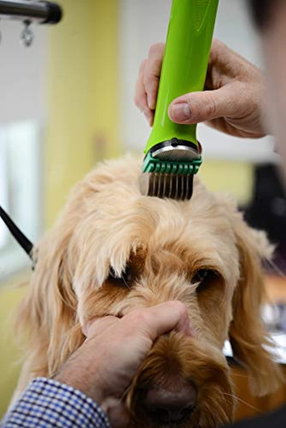 wahl 5 in 1 dog clippers