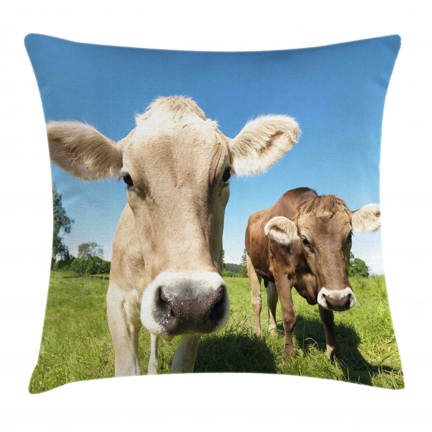 Farm Animal Throw Pillow Cushion Cover, Close Up Sweet Photo of Cows at