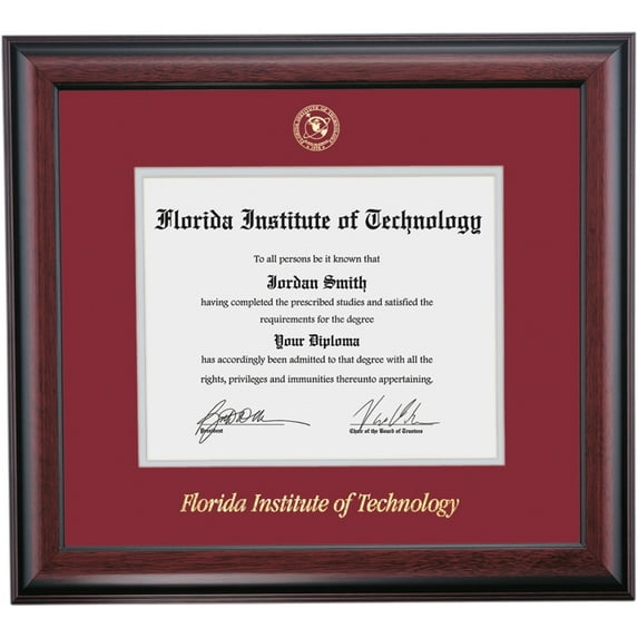 Dawn Diploma Frame for Florida Tech FIT, 16" x 18" Diploma Certificates Frame, Embossed Maroon/Gray Mat