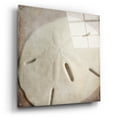 thumbnail image 2 of Epic Art 'Under the Sea 02' by Lightbox Journal, Acrylic Glass Wall Art, 36"x36", 2 of 8