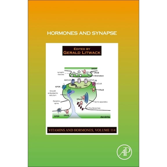Vitamins and Hormones Hormones and Synapse: Volume 114, Book 114, (Hardcover)