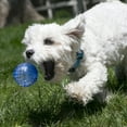 thumbnail image 3 of KONG® Squeezz® Geodz Balls Fetch Dog Toys, Large, 2 Count, 3 of 6